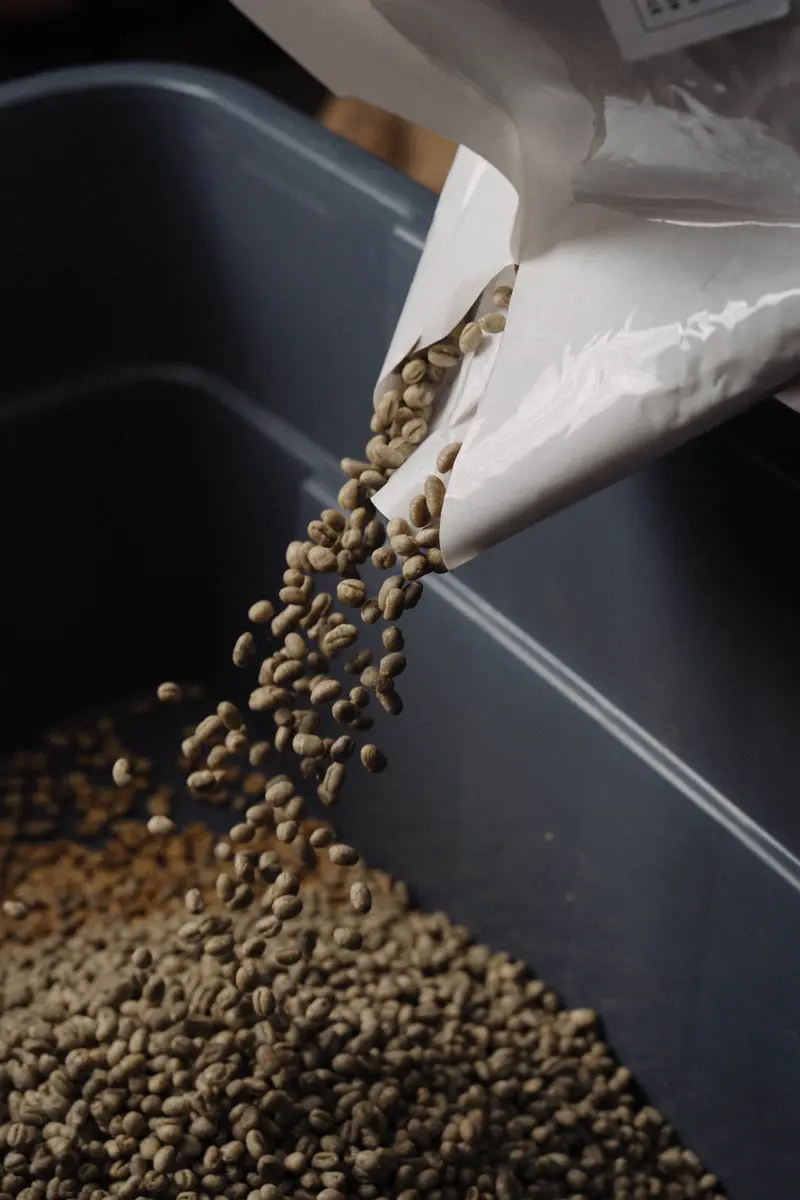 Green coffee beans pouring from a bag