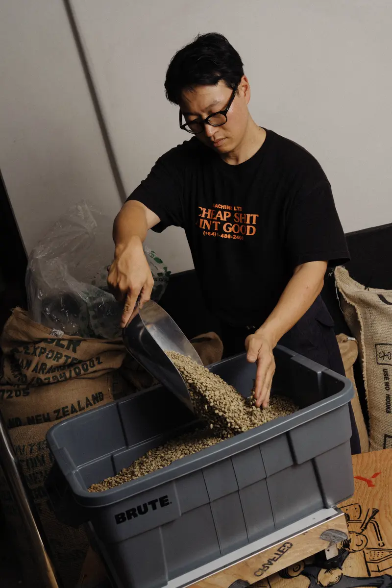 Sorting green coffee beans by hand